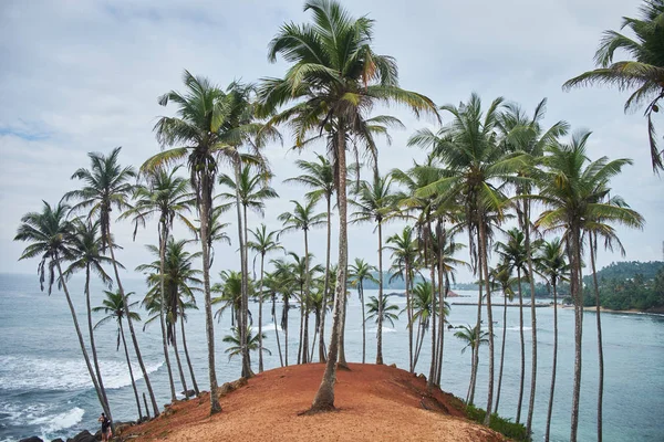 depositphotos_237478592-stock-photo-palms-secret-beach-mirissa-sri