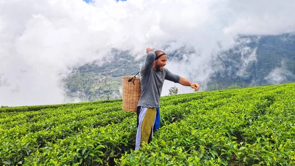 depositphotos_335626450-stock-photo-tourists-walking-through-tea-plantations